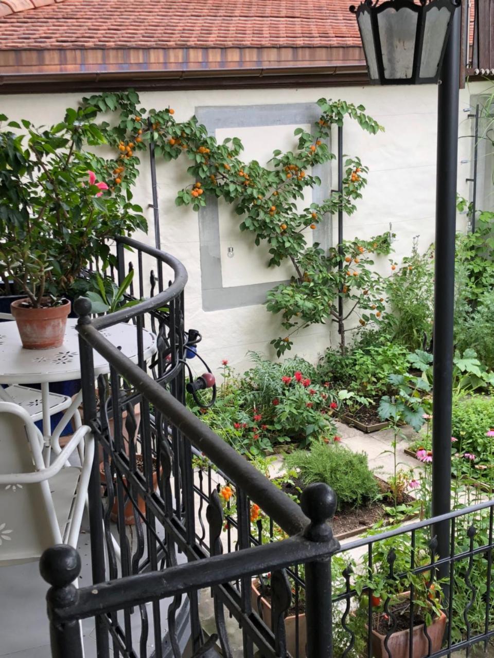 Good4Yew Bnb Zurich Bagian luar foto